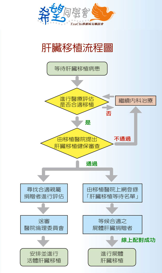 肝臟移植05